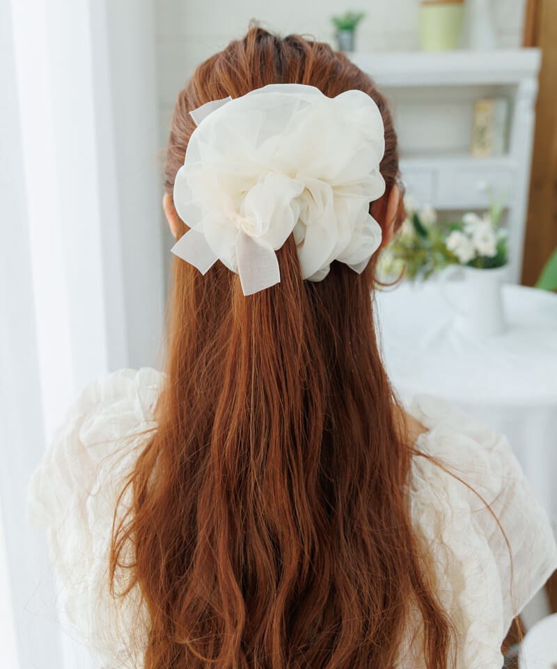 ribbon topping chouchou`įݸ޼